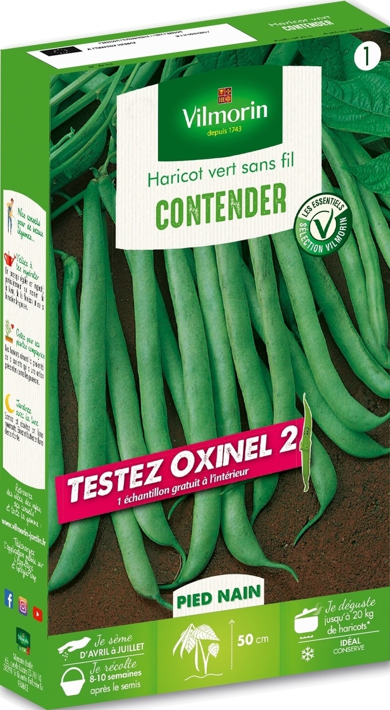 découvrez tout ce qu'il faut savoir sur le haricot hongre : caractéristiques, techniques de culture, conseils d'entretien et bien plus encore pour réussir vos plantations.