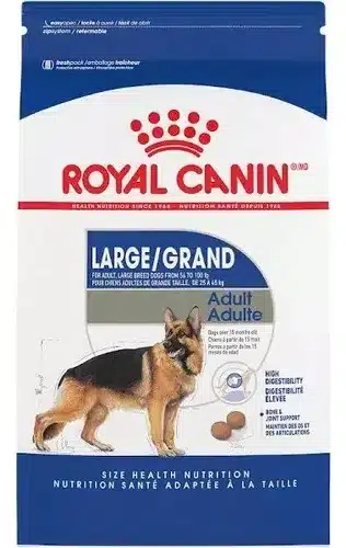 Royal Canin : le choix idéal pour l’alimentation de l’American Bully post thumbnail image